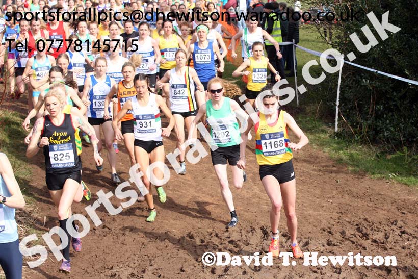 Senior womens 2016 Inter Counties Cross Country Champs. and Cross Challenge Final, Cofton Park, Birmingham. Photo: David T. Hewitson/Sports for All Pics